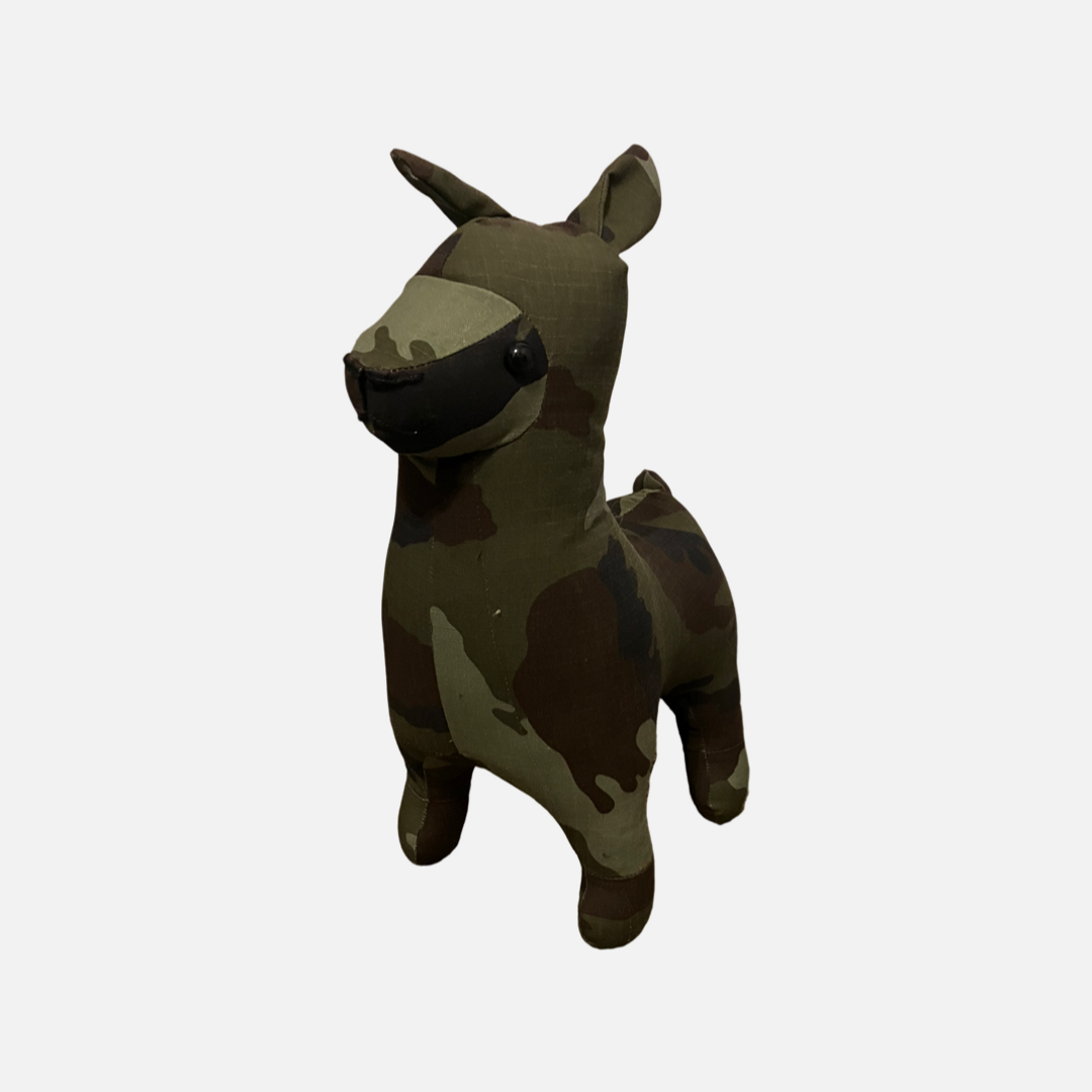 Standard Irish DPM Llama