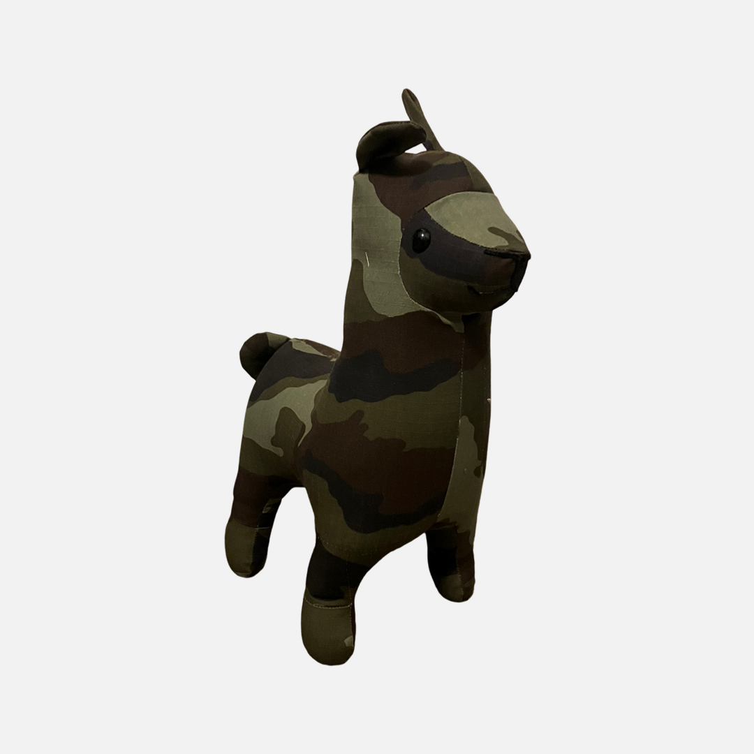 Standard Irish DPM Llama