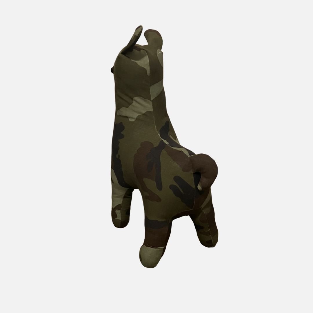 Standard Irish DPM Llama