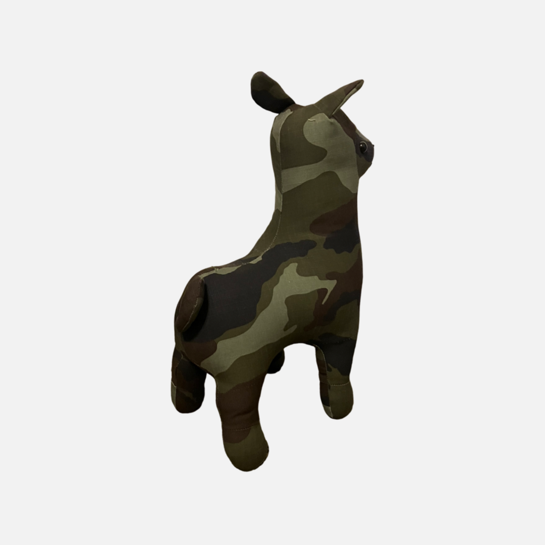 Standard Irish DPM Llama